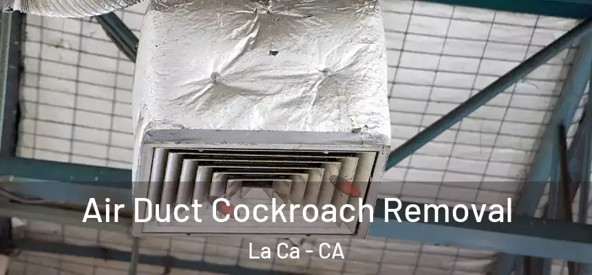Air Duct Cockroach Removal La Ca - CA