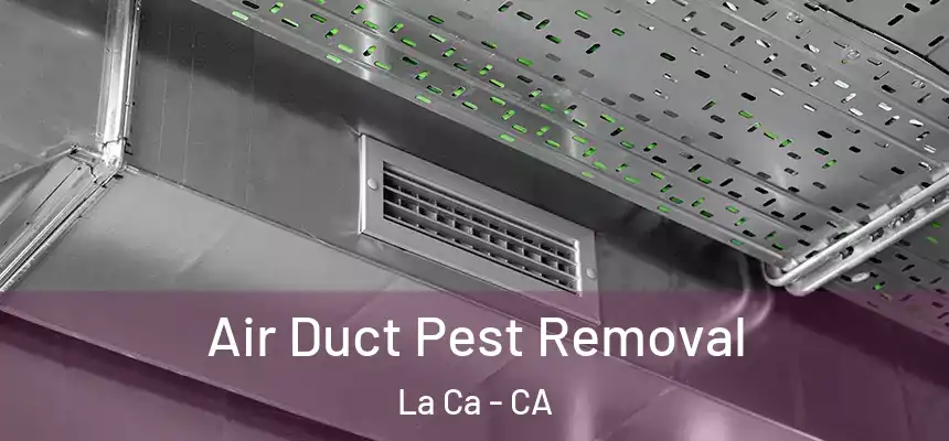Air Duct Pest Removal La Ca - CA