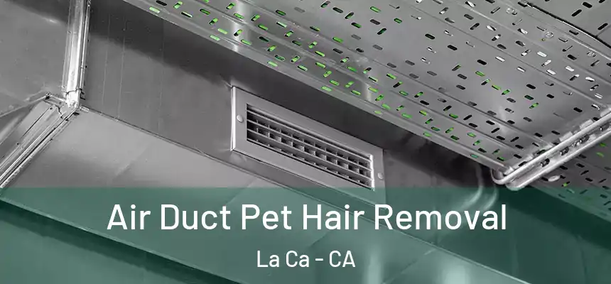  Air Duct Pet Hair Removal La Ca - CA
