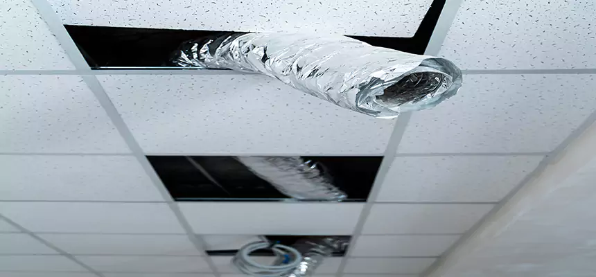 Our Air Duct Pet Hair Removal Services in La Ca, CA