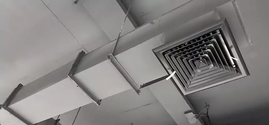 Our Rodent Droppings In Vents Services in La Ca, CA