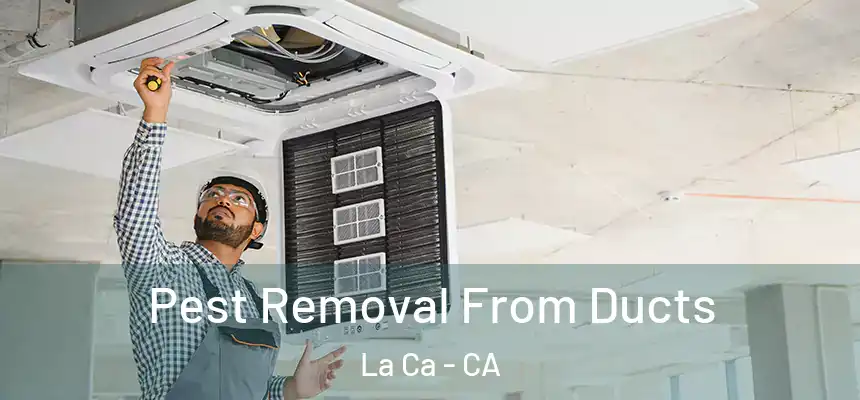  Pest Removal From Ducts La Ca - CA