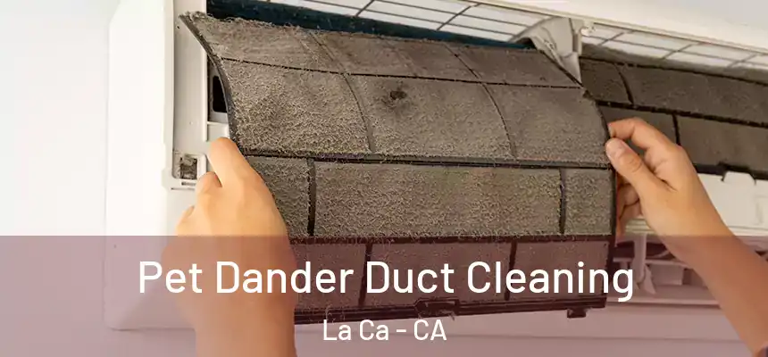  Pet Dander Duct Cleaning La Ca - CA
