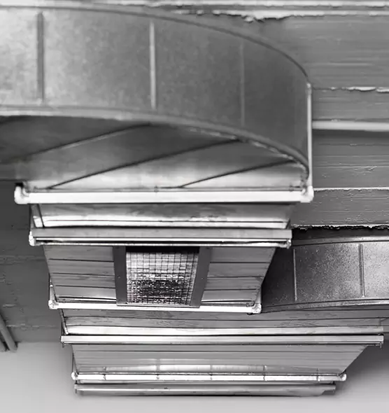 Professional Air Duct Pest Removal in La Ca, CA