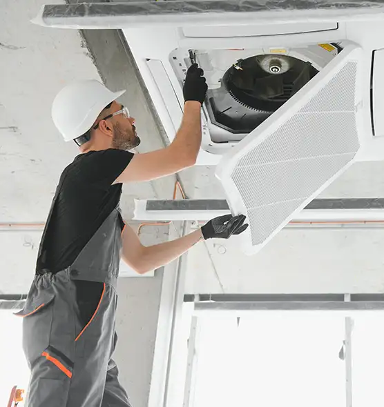 About Air Duct Rodent Removal in La Ca, CA