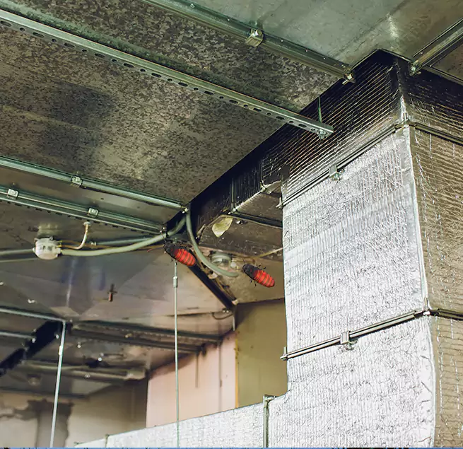 Why Homeowners & Businesses Trust Us in La Ca, CA?