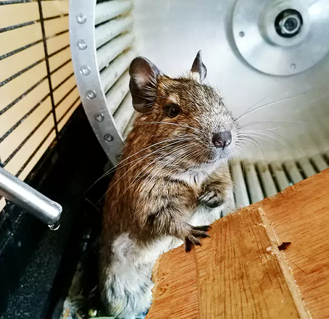 Why Homeowners & Businesses Trust Us La Ca, CA?