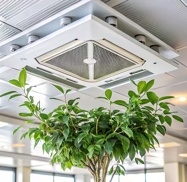 Why Homeowners & Businesses Trust Us in La Ca, CA