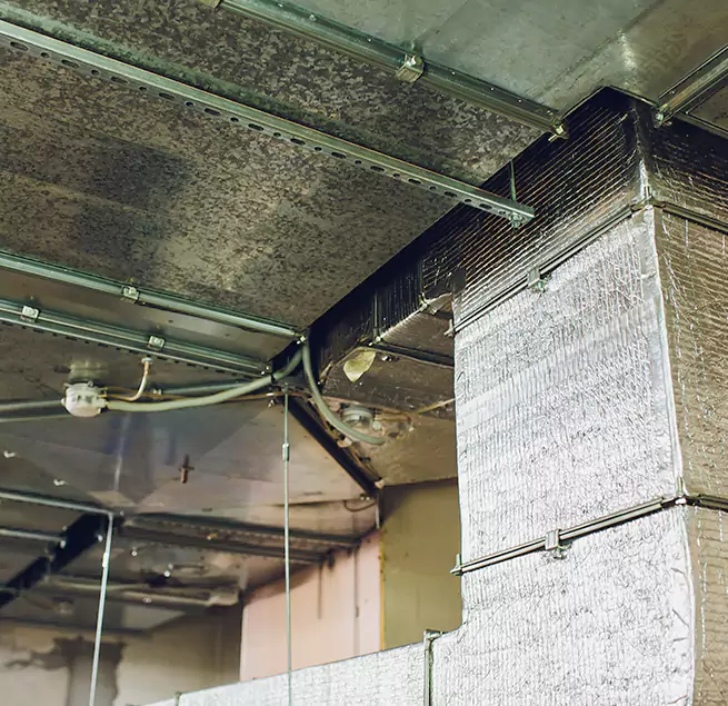 Why Homeowners & Businesses Trust Us in La Ca, CA?